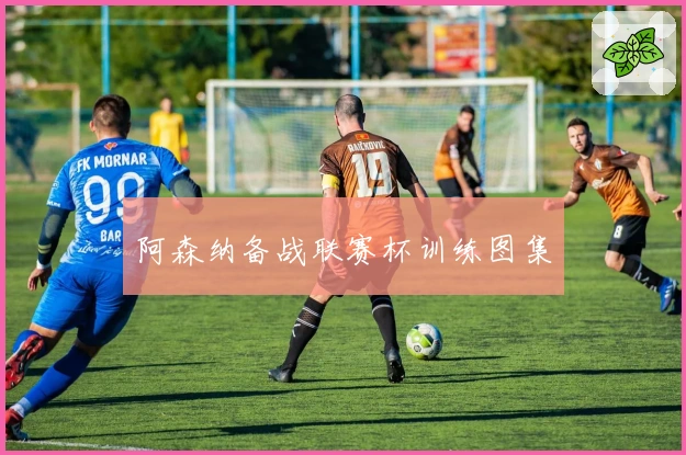 阿森纳备战联赛杯训练图集